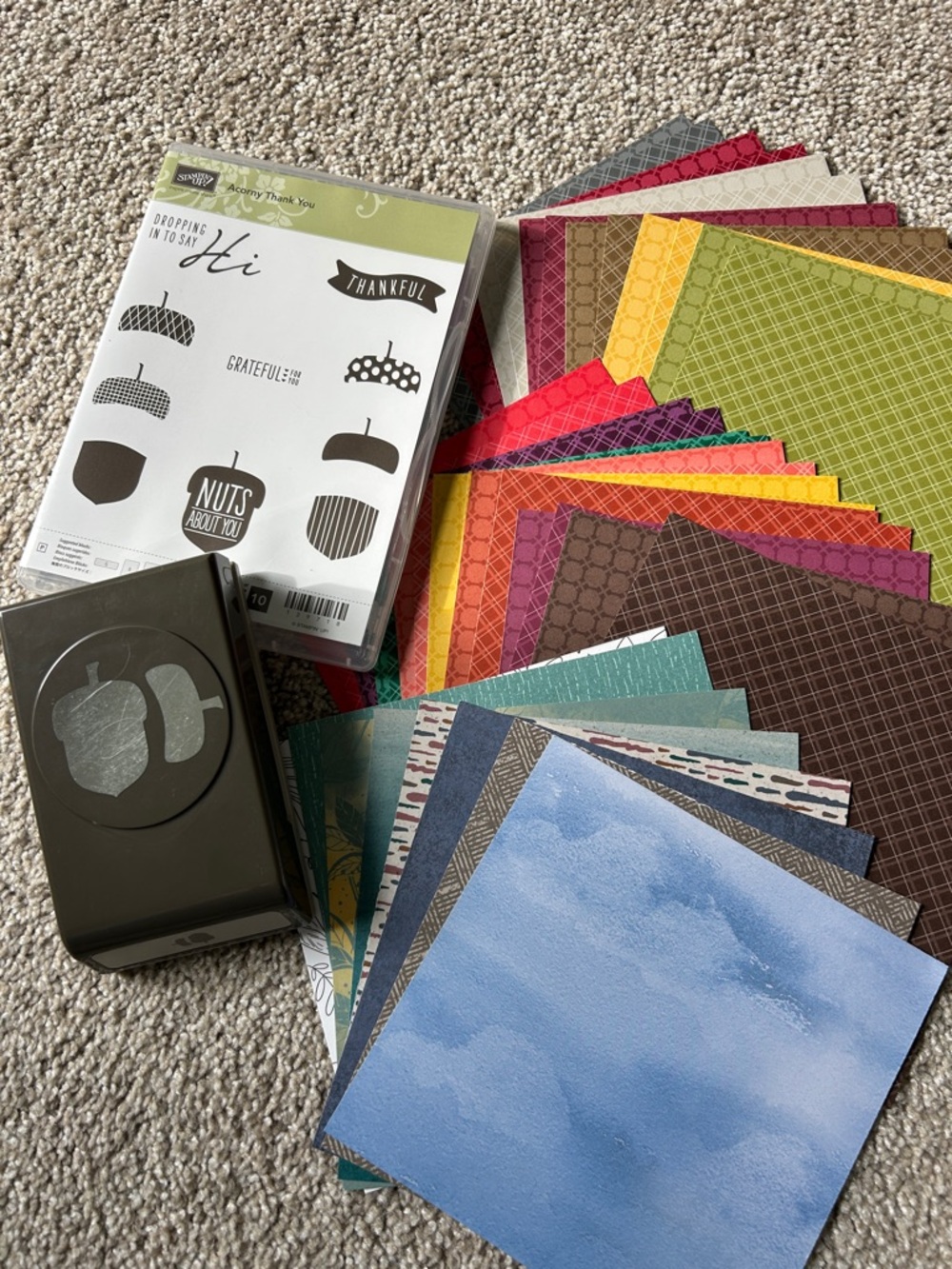 Stampin’ Up! Acorn Big Bundle